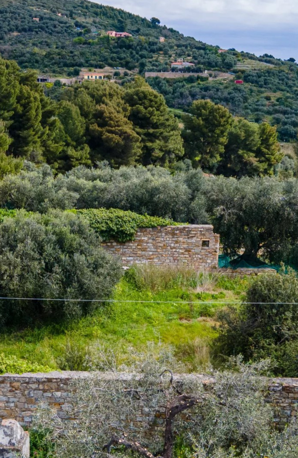 Tenuta con due Ville Indipendenti Immerse nel Verde