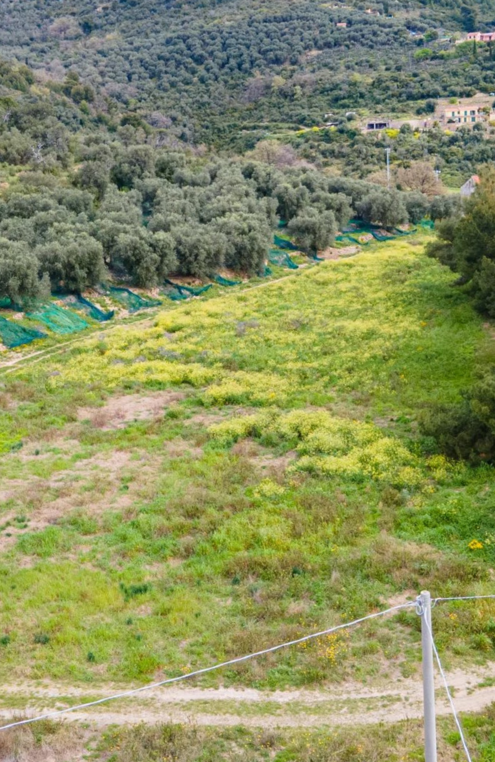 Tenuta con due Ville Indipendenti Immerse nel Verde